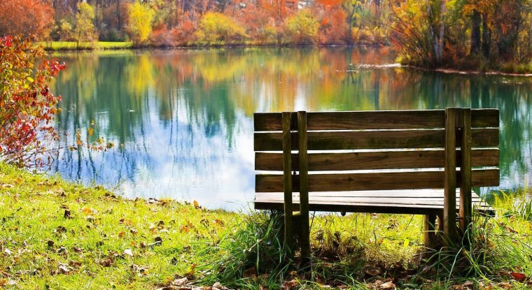 Картина пейзаж пруд скамейка