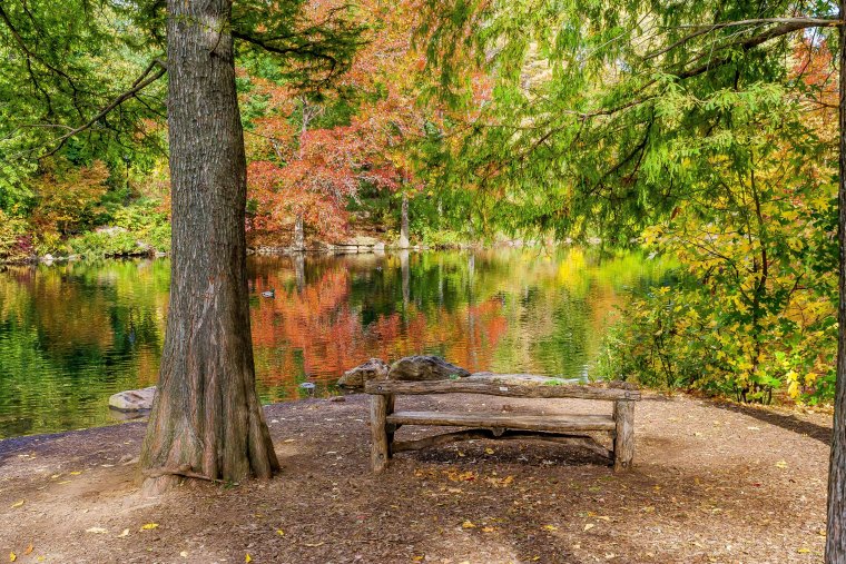Чешир старый парк пруд скамейка