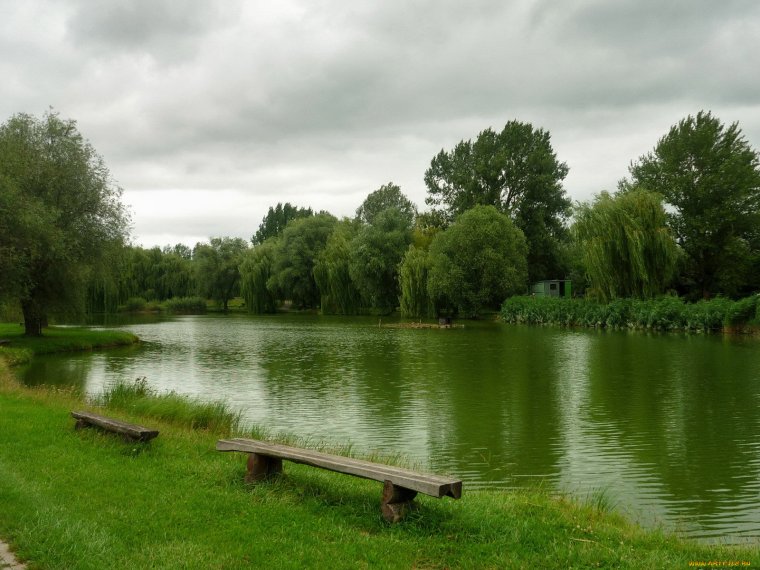 На берегу реки