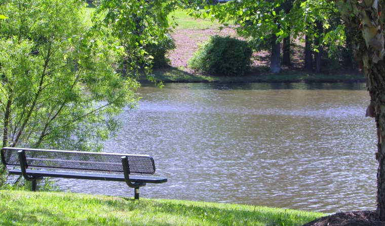 Скамейка у озера