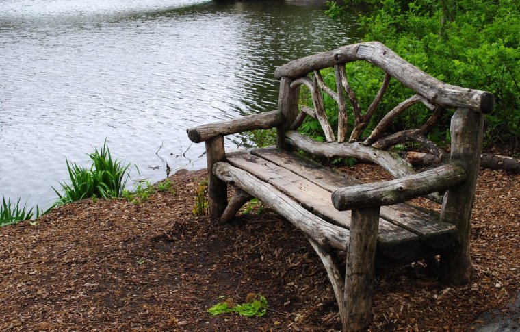 Скамейка в лесу