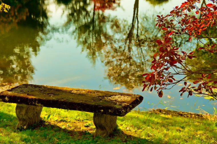 Лавочка у озера