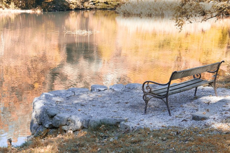 Осень пруд лавочка