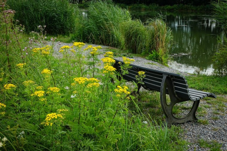 Антропов пруд скамейки