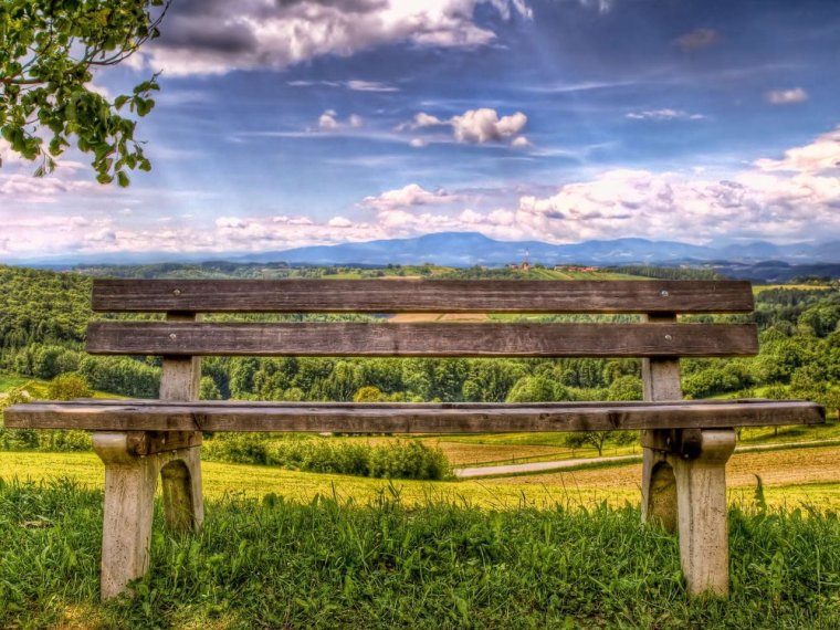 Река берёзка лавочка