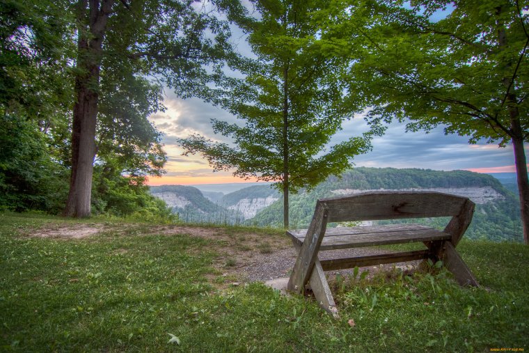 Осень парк лавочка озеро