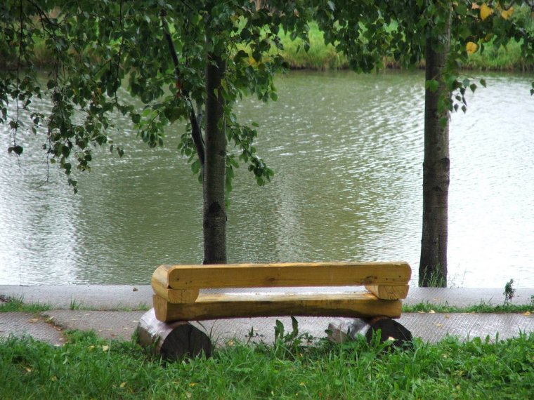 Скамейка у пруда