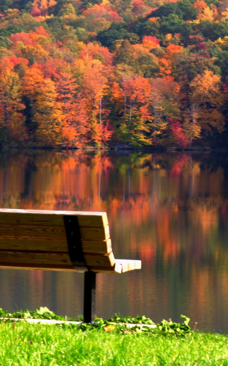 Лавочка у воды