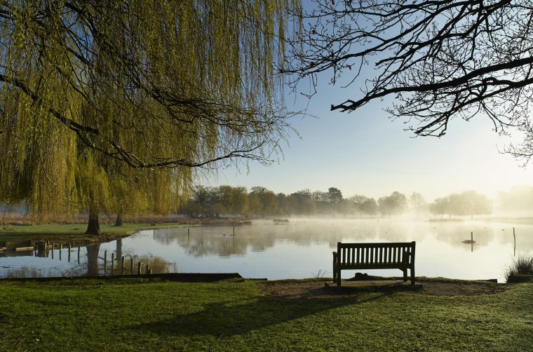 Лавочка осенью