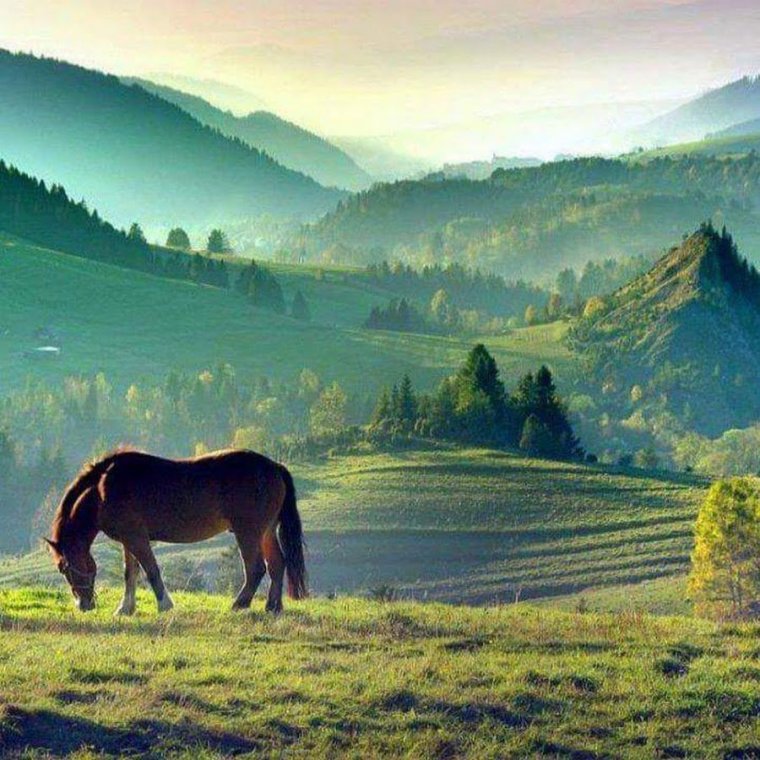 Пейзаж с лошадьми