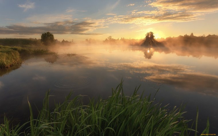 Рассвет на озере