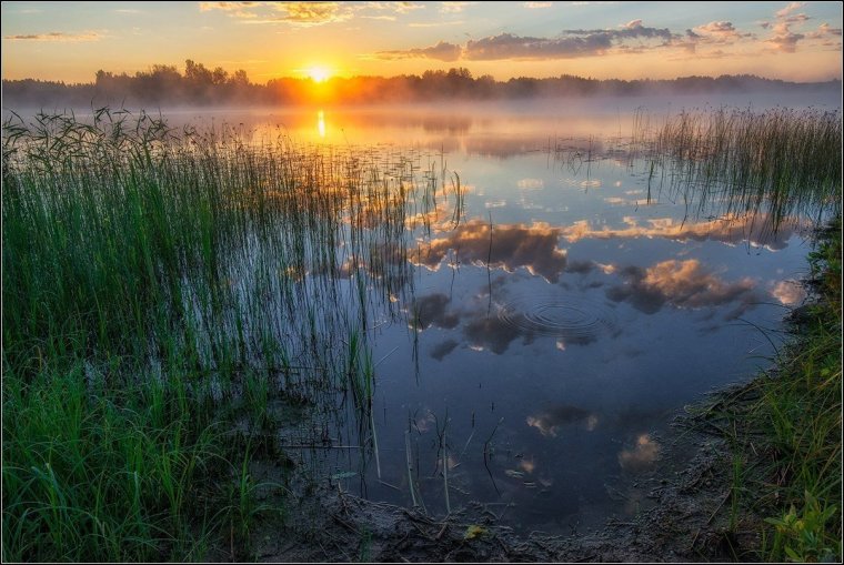 Раннее утро на озере