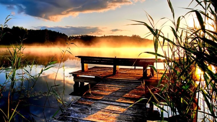 Утро природа