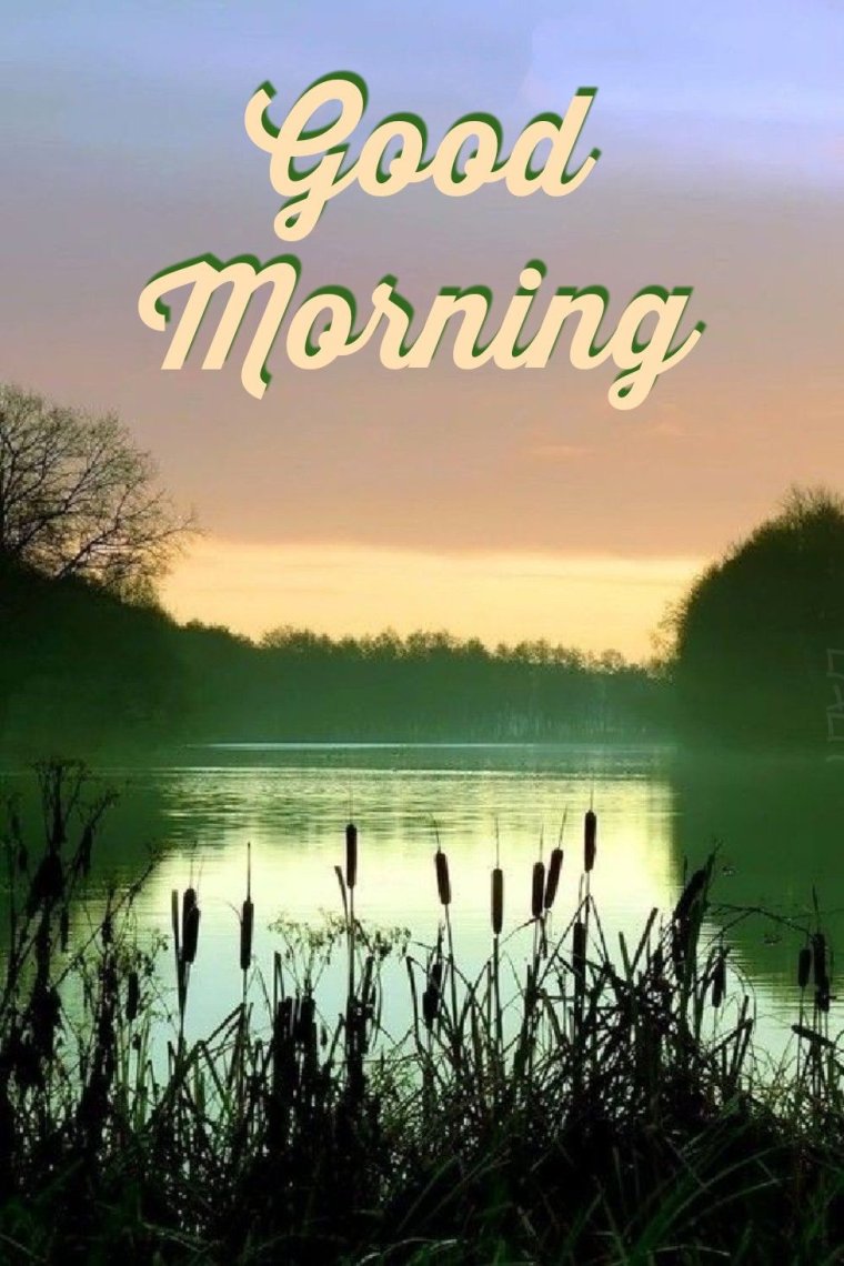 Озеро в тумане