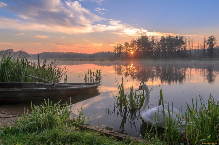 Красоты природы Беларуси
