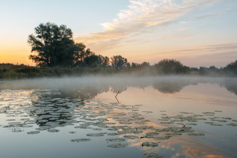 Озеро разлив Сестрорецк рассвет, белые ночи туман