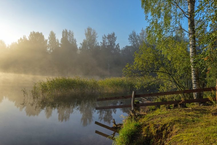 Утро на озере