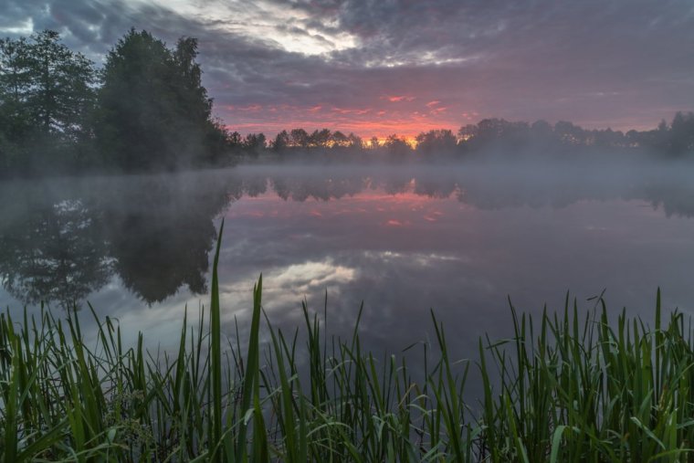 Рассвет на озере