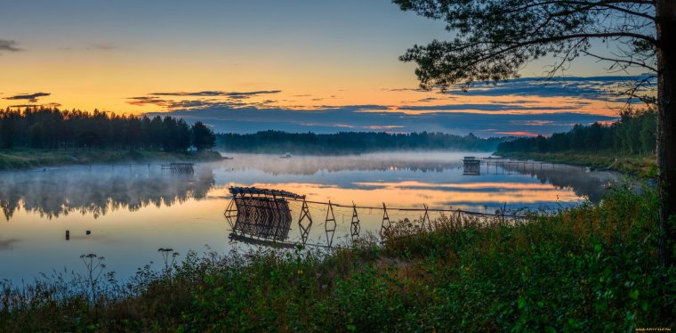 Летнее утро на озере