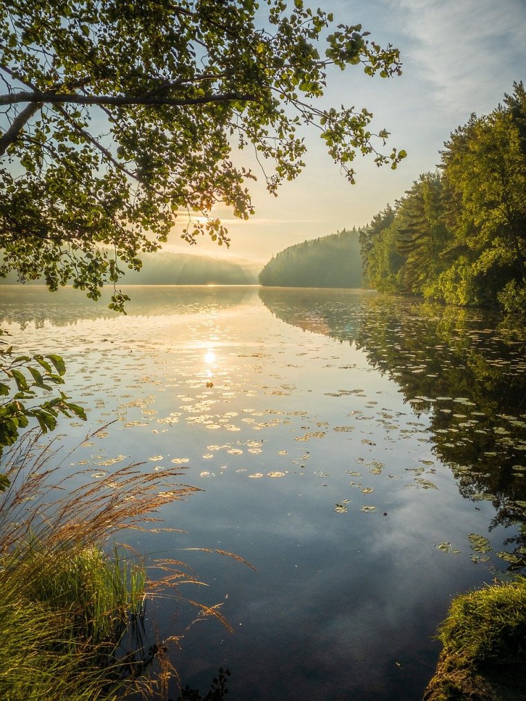 Природа озеро