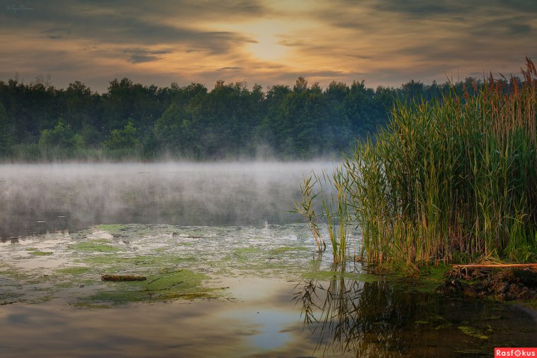У реки на зорьке