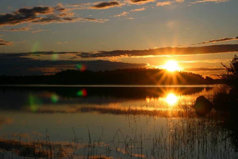 Утро рассвет