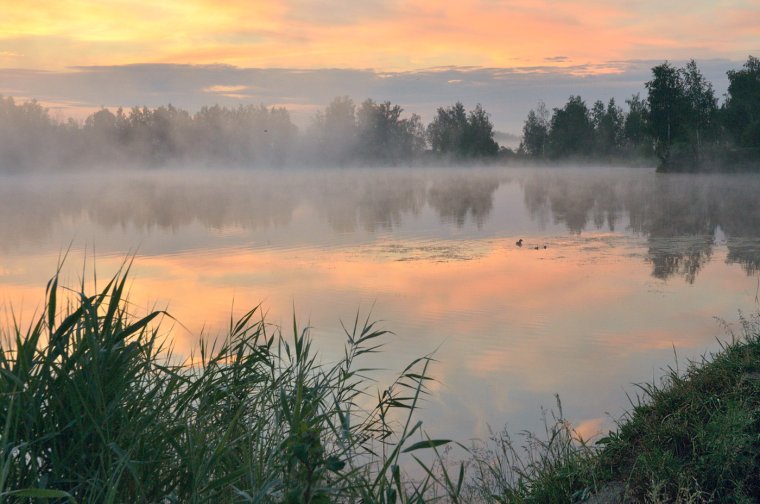 Утренняя Зорька Заря
