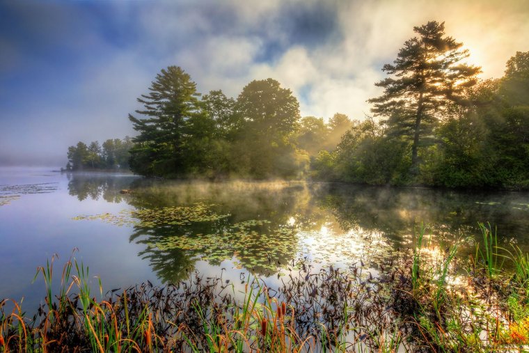 Утро на реке