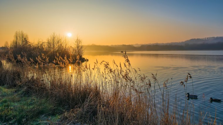 Раннее утро на озере