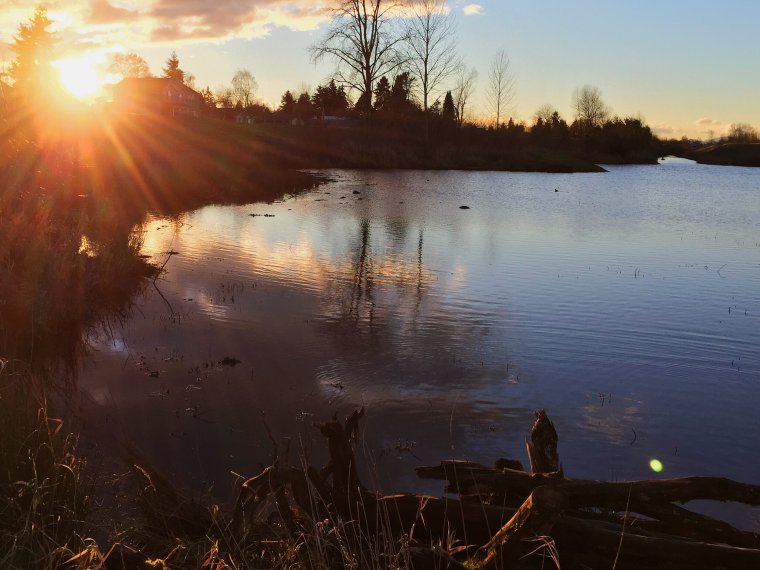Фотосессия ранним утром у озера