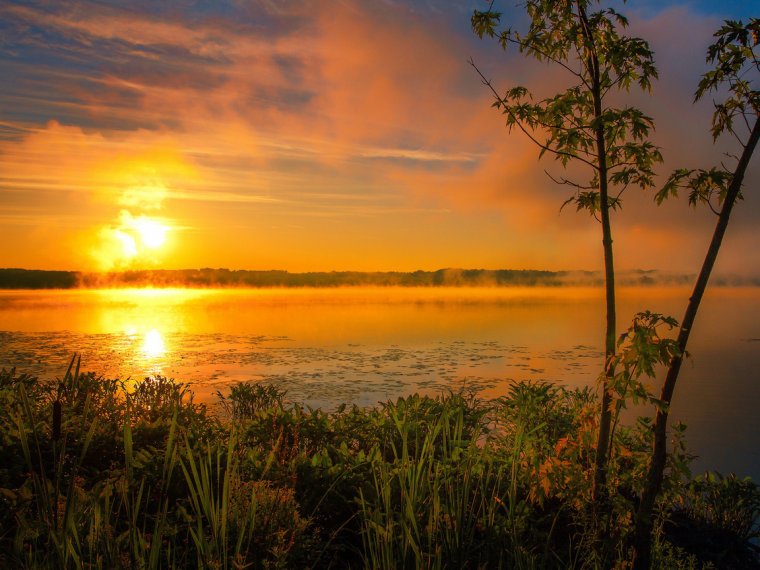 Красивый летний закат