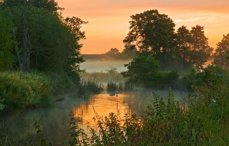 Речные заводи фотопейзажи