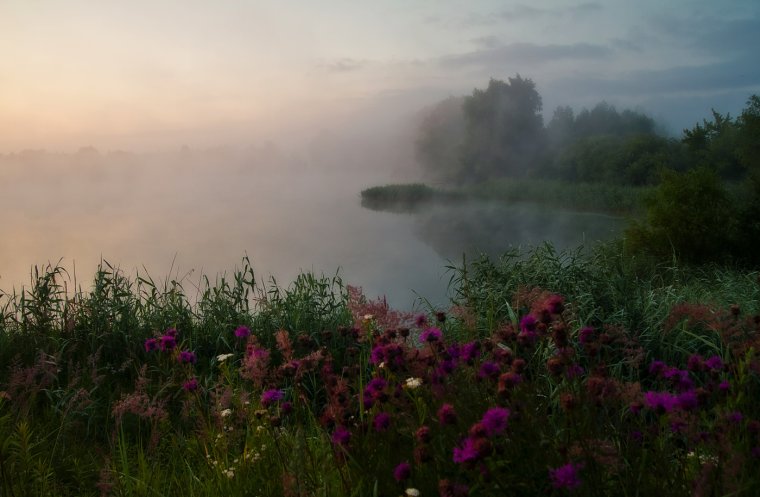 Берег озера туман