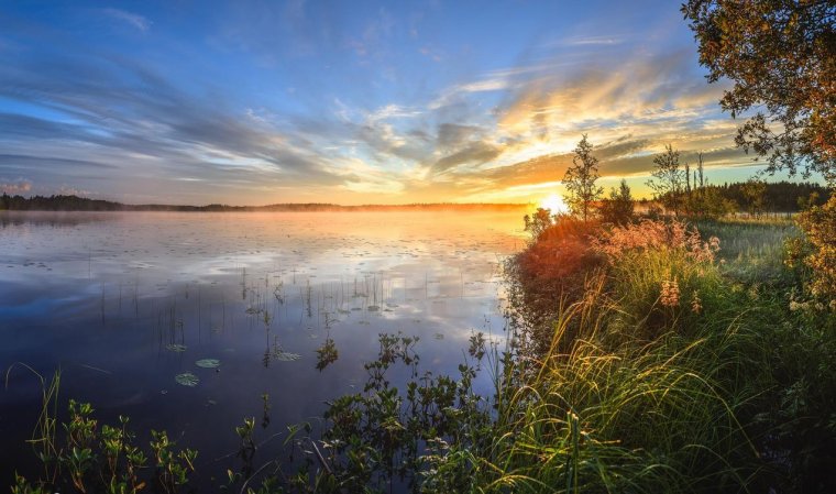 Рассвет на озере