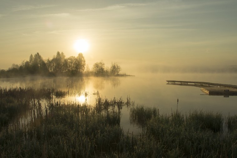 Раннее утро на озере