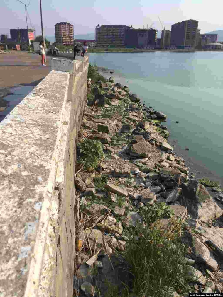 Парк у озера АК гель