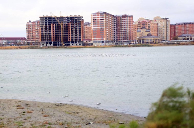 Проспект Акушинского Махачкала