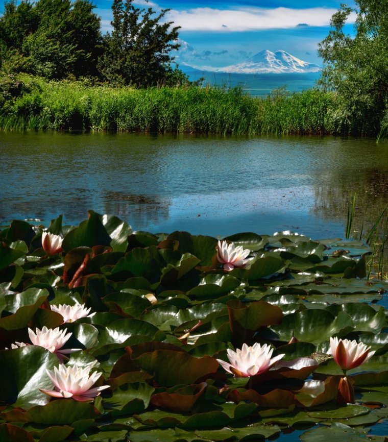 Монастырское озеро Пятигорск