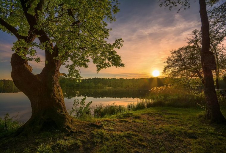 Красота русской природы