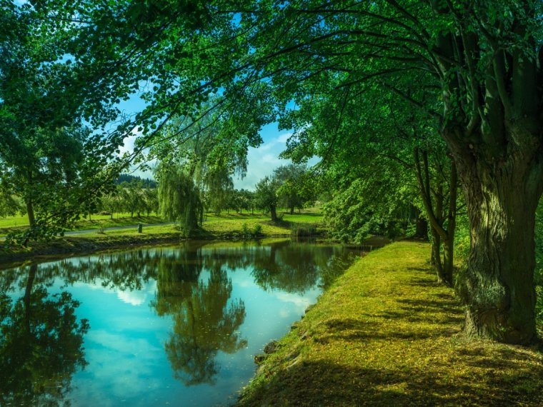 Красивые пейзажи природы