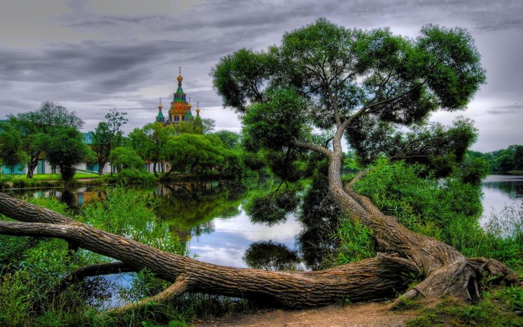 Ольгин пруд в Петергофе