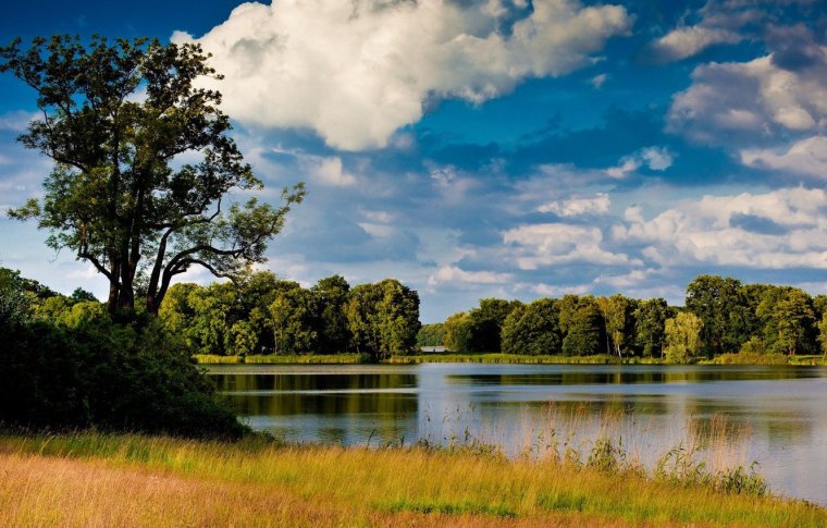 Природа берег реки