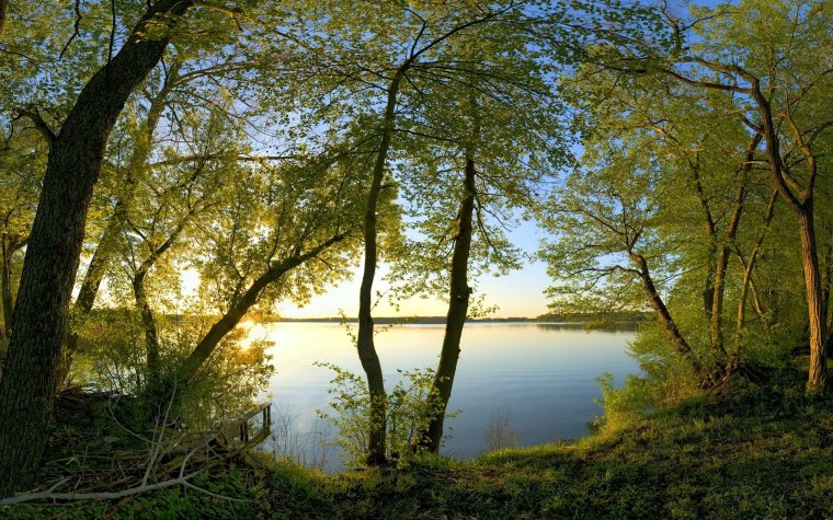 Природа река деревья