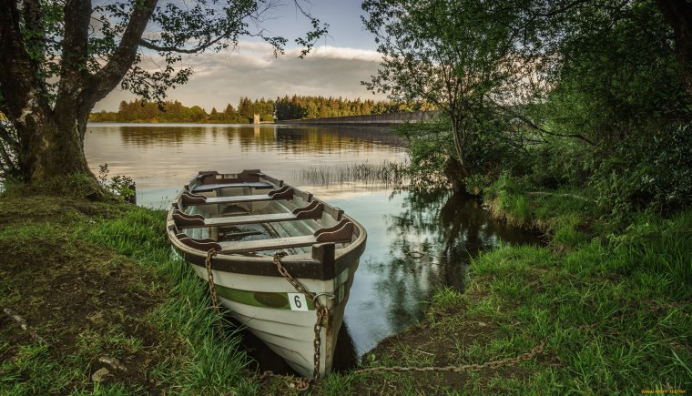 Лес река лодка