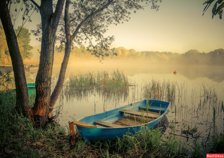 Пейзаж река лодка