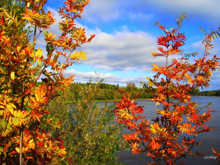 Осень в Карелии охра багрянец