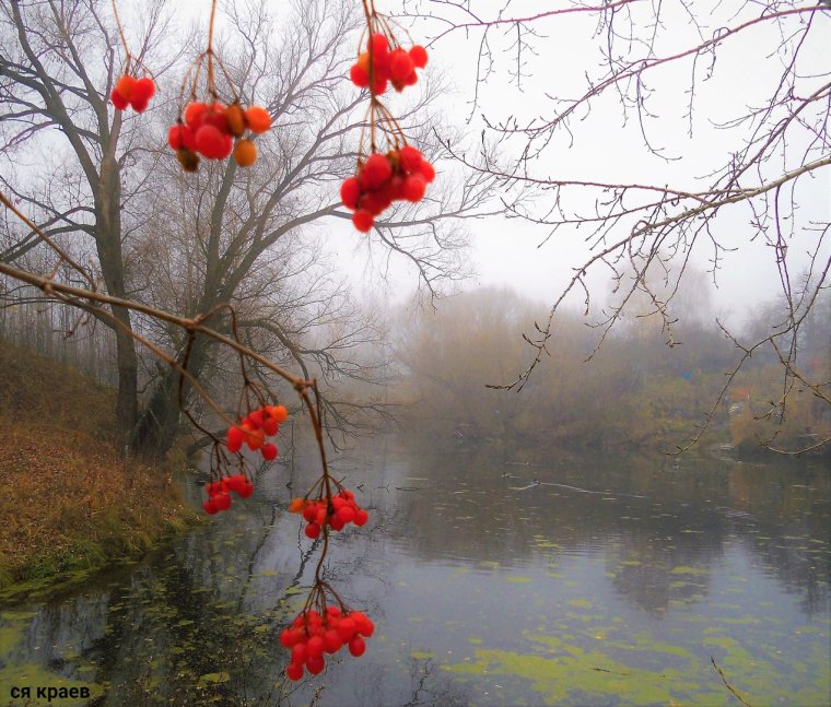 Осень дождь