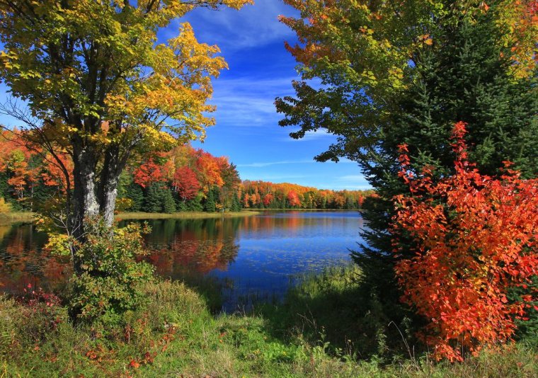 Осенний лес с озером
