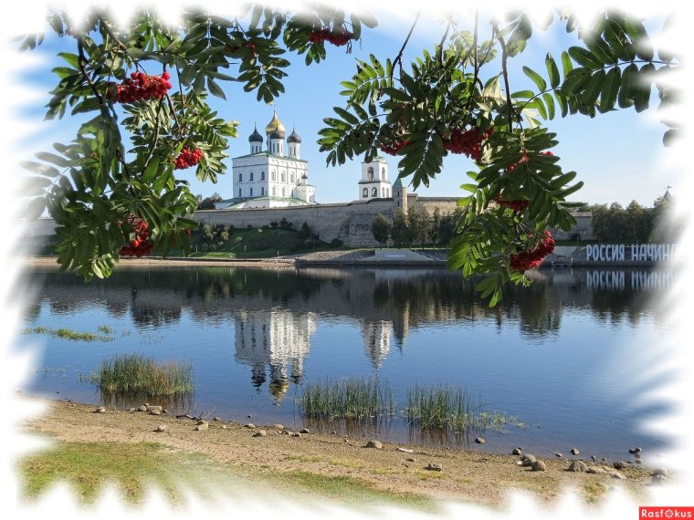 Рябина у реки