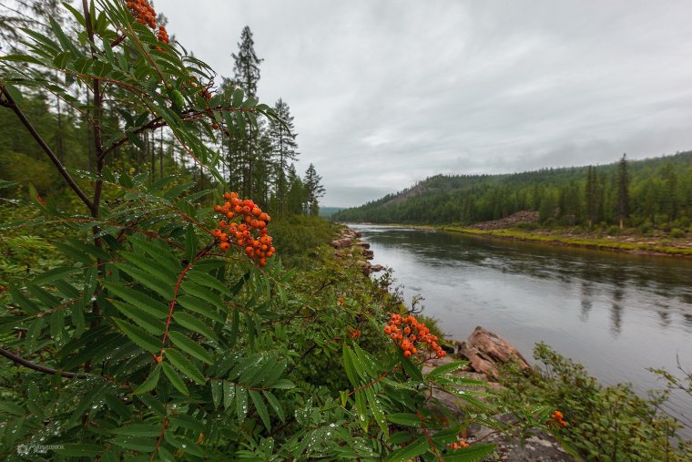 Нерюнгри природа лето